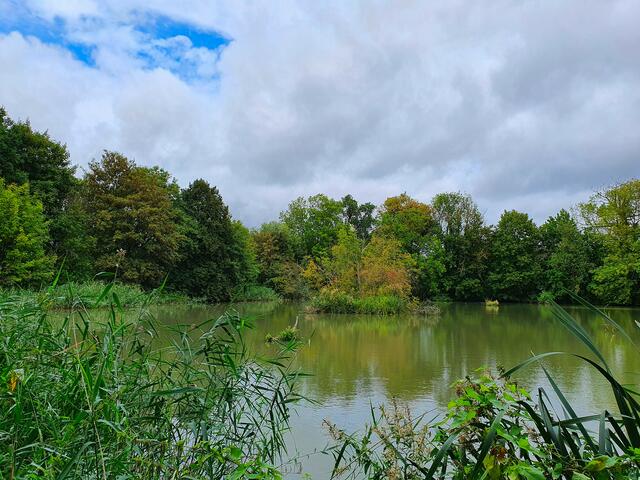 Die Inseln im Mariensee