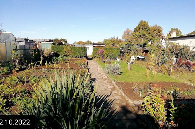 2.10.2022 !!! Gartenschau - Sonntagsbilder 2022 !!!  Temperaturen: Früh 6:29 9,3 Grad / 11:19h 16,3° / 13:36 h 19,9° plus | Foto: MW-FotoNebra