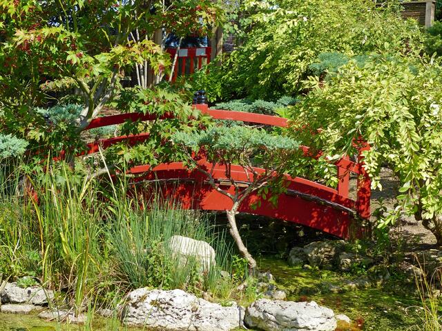 Brücke im Japanischen Garten