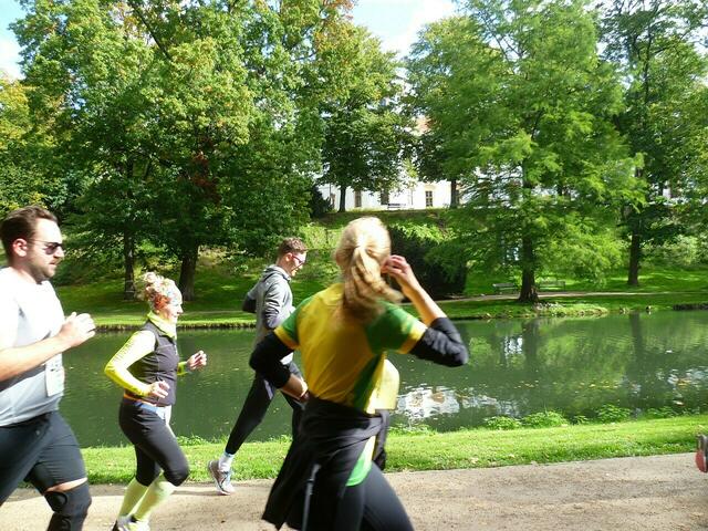 Hinter den Bäumen zu erahnen: Das Celler Schloss