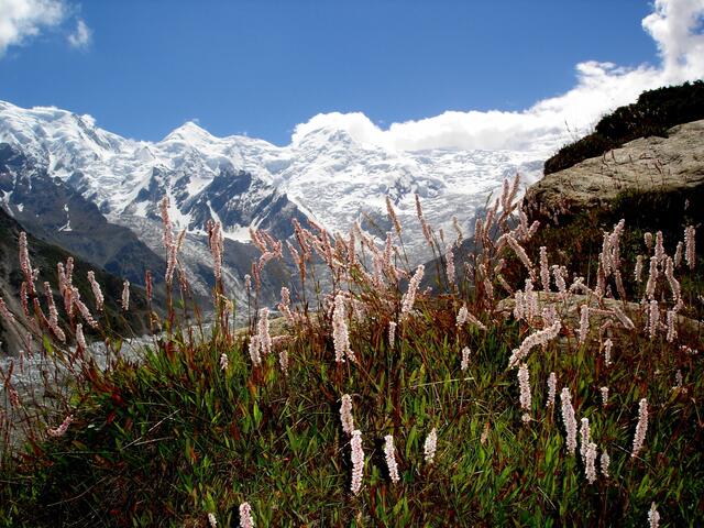 2005 Nanga Parbat in Pakistan.