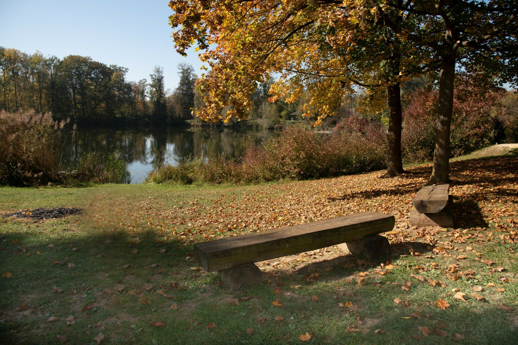 Herbstwandern auf dem DonAUwaldWanderweg Bächingen an der Brenz