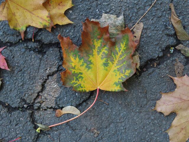 ... fand ich ...