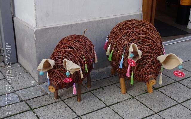 Schwein gehabt!