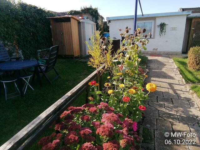 Blumenbeet (1) - (3) - 9.10.2022 !!! Gartenschau - Sonntagsbilder 2022 !!!  Temperaturen: Früh 6:19  2,3 Grad / 11:19h 10,3° / 13:36 h 16,9° plus