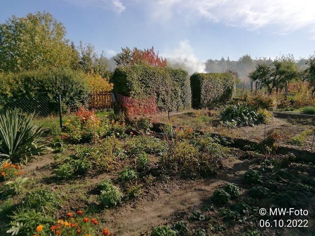 Verbrennungsqualm - 9.10.2022 !!! Gartenschau - Sonntagsbilder 2022 !!!  Temperaturen: Früh 6:19  2,3 Grad / 11:19h 10,3° / 13:36 h 16,9° plus