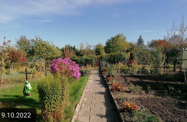 (2) - 9.10.2022 !!! Gartenschau - Sonntagsbilder 2022 !!!  Temperaturen: Früh 6:19  2,3 Grad / 11:19h 10,3° / 13:36 h 16,9° plus