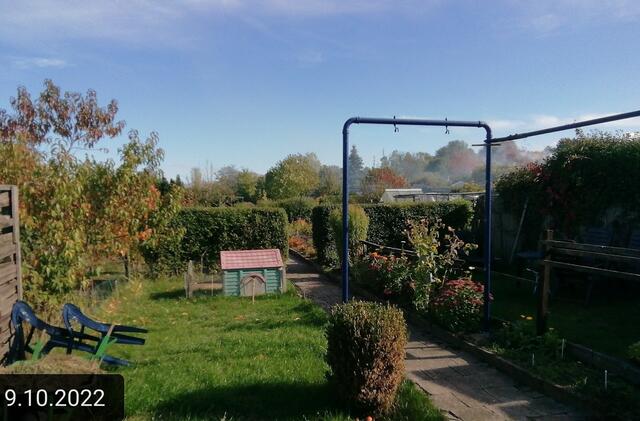 (3) - 9.10.2022 !!! Gartenschau - Sonntagsbilder 2022 !!!  Temperaturen: Früh 6:19  2,3 Grad / 11:19h 10,3° / 13:36 h 16,9° plus