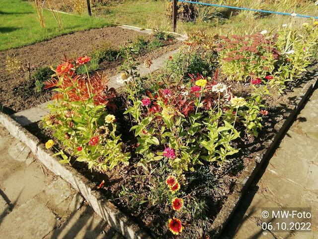 Blumenbeet (2) - 9.10.2022 !!! Gartenschau - Sonntagsbilder 2022 !!!  Temperaturen: Früh 6:19  2,3 Grad / 11:19h 10,3° / 13:36 h 16,9° plus