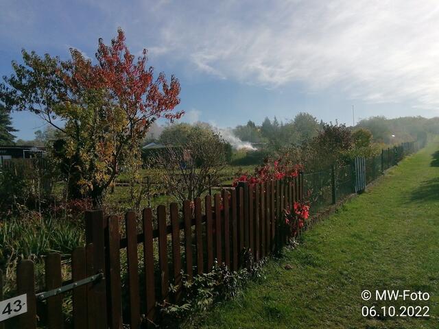 Qualm - 9.10.2022 !!! Gartenschau - Sonntagsbilder 2022 !!!  Temperaturen: Früh 6:19  2,3 Grad / 11:19h 10,3° / 13:36 h 16,9° plus