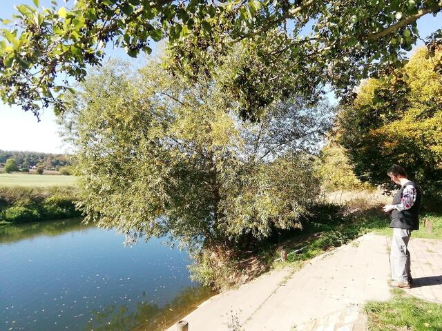 Herbstfarben in Nebra entdeckt bei unserem Spaziergang, zur Zeit ist ja Waldbaden voll angesagt !