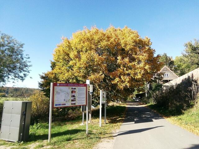 Herbstfarben in Nebra entdeckt bei unserem Spaziergang, zur Zeit ist ja Waldbaden voll angesagt !