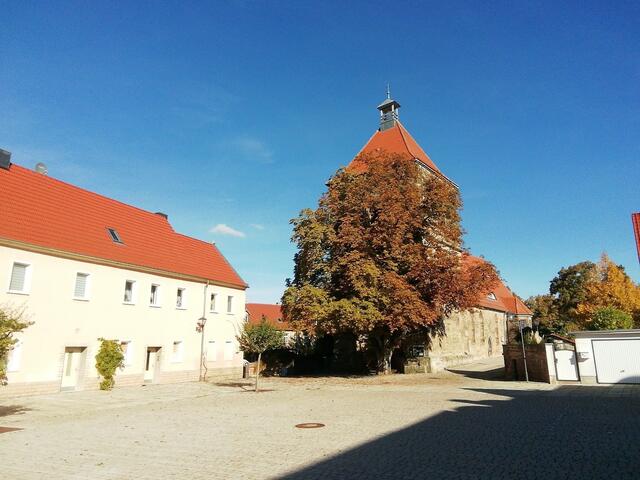 Herbstfarben in Nebra entdeckt bei unserem Spaziergang, zur Zeit ist ja Waldbaden voll angesagt !