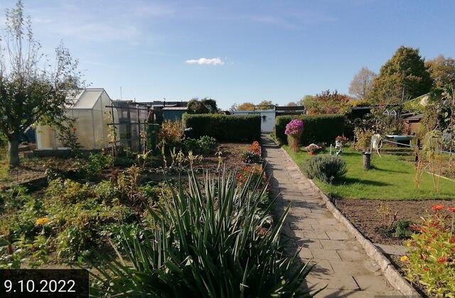 9.10.2022 !!! Gartenschau - Sonntagsbilder 2022 !!! Temperaturen: Früh 6:19 2,3 Grad / 11:19h 10,3° / 13:36 h 16,9° plus | Foto: MW-FotoNebra