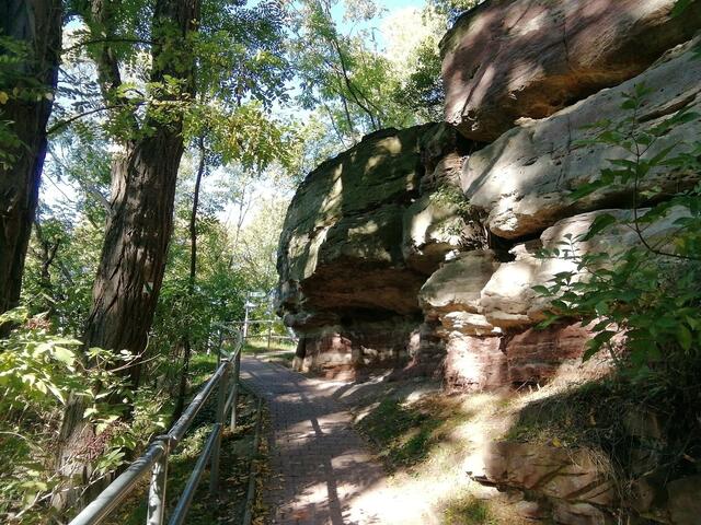 Herbstfarben in Nebra entdeckt bei unserem Spaziergang, zur Zeit ist ja Waldbaden voll angesagt !