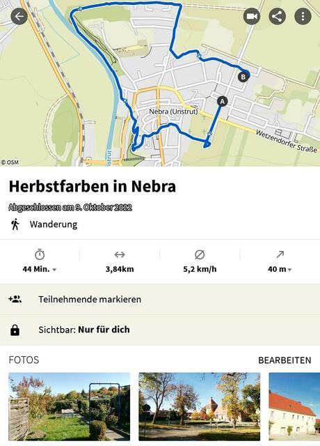 Herbstfarben in Nebra entdeckt bei unserem Spaziergang, zur Zeit ist ja Waldbaden voll angesagt !