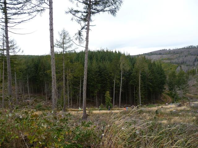 11 km: Streckenimpressionen