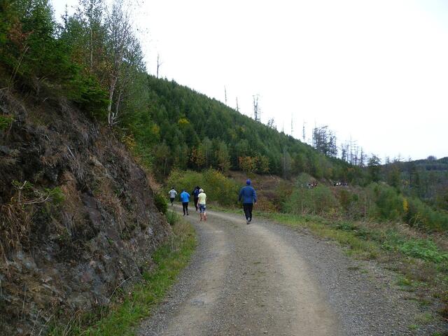11 km: Kurvenreich geht’s bergauf.