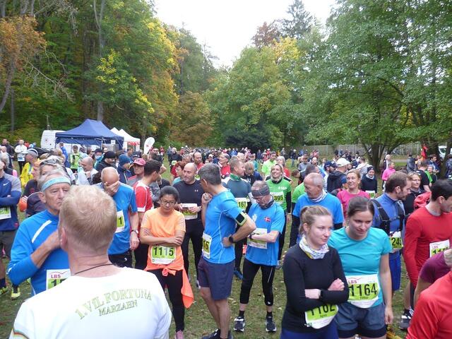 11 km: Das Starterfeld.