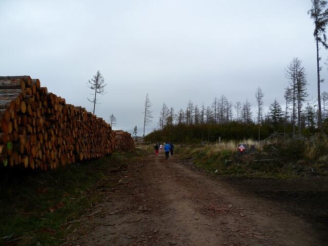 11 km: Streckenimpressionen