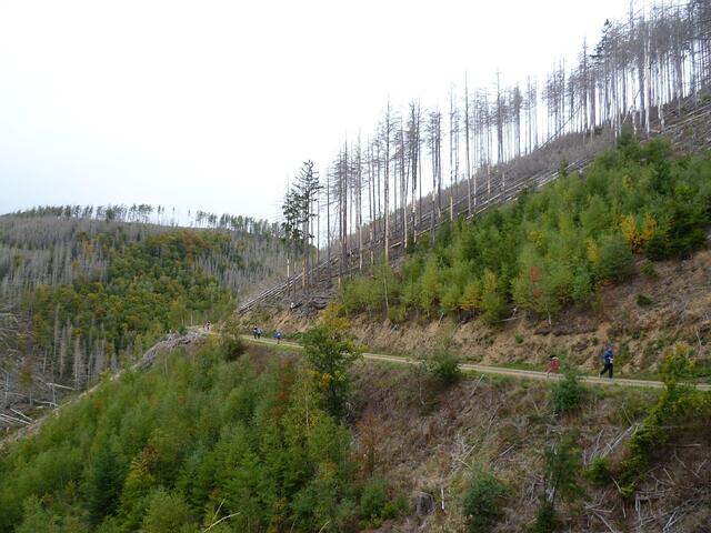 11 km: Rückblick.