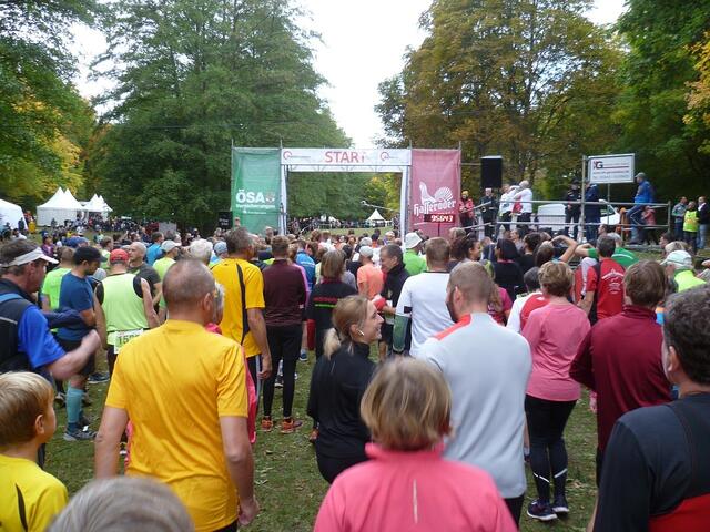 11 km: Das Starterfeld.