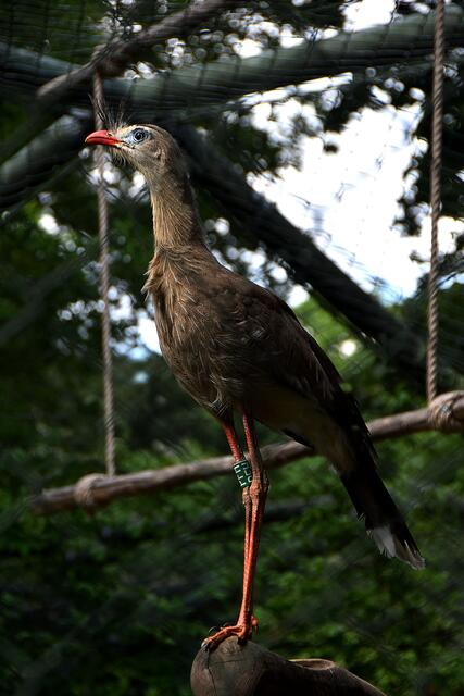 Fotosafari im Erlebniszoo Hannover