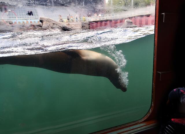 Fotosafari im Erlebniszoo Hannover