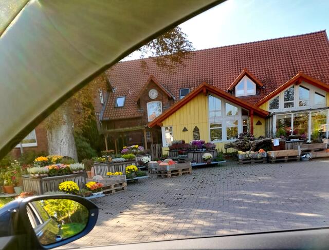 . . . Erntedank . . .