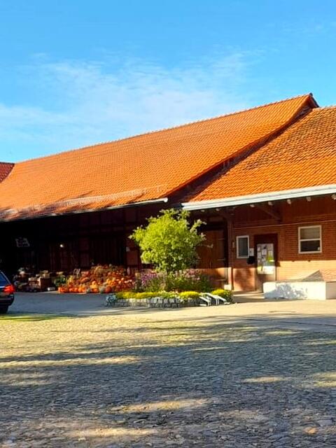 . . . Erntedank . . .