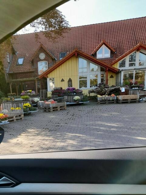 . . . Erntedank . . .