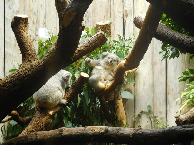 Was machen die ganzen Leute da?