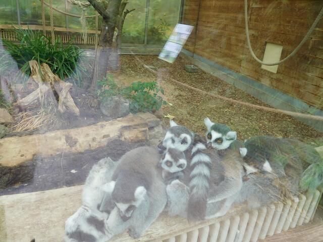 Wenn wir uns aneinanderkuscheln, wird es wärmer.