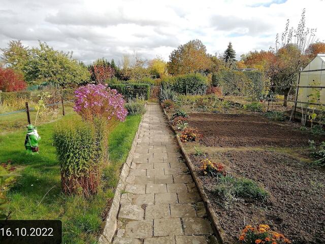 16.10.2022 !!! Gartenschau - Sonntagsbilder 2022 !!! Temperaturen: Früh 6:19 14,3 Grad / 11:19h 17,3° / 13:33 h 22,9° plus | Foto: MW-FotoNebra