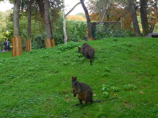 Hallo, schön, Dich zu sehen!