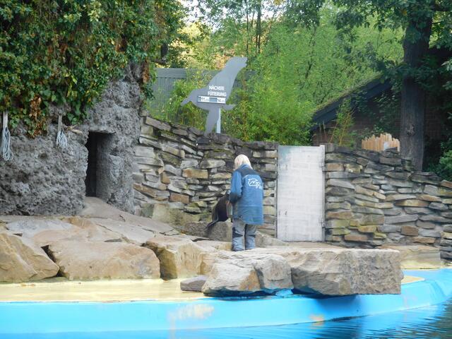 Du wirst gleich gefüttert, Kleiner.