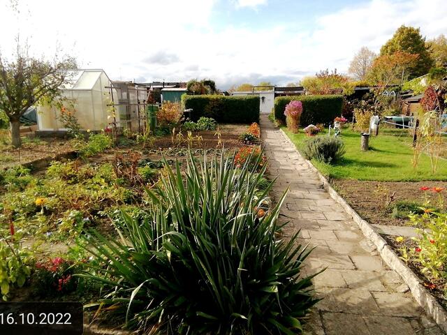 16.10.2022 !!! Gartenschau - Sonntagsbilder 2022 !!! Temperaturen: Früh 6:19 14,3 Grad / 11:19h 17,3° / 13:33 h 22,9° plus | Foto: MW-FotoNebra