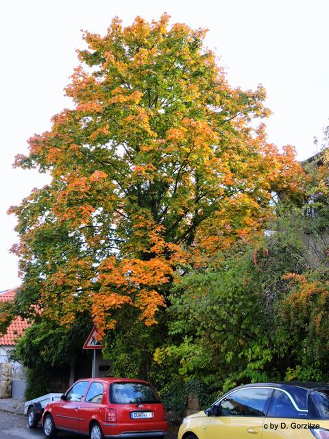 Herbstfarben