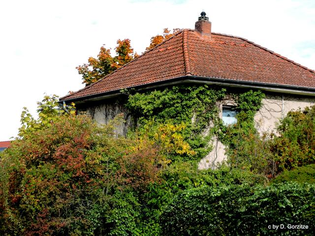 Das "Grüne" Haus !