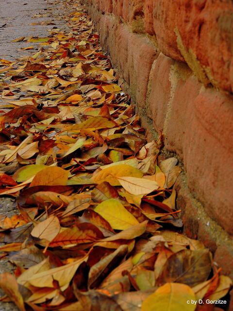 Herbst