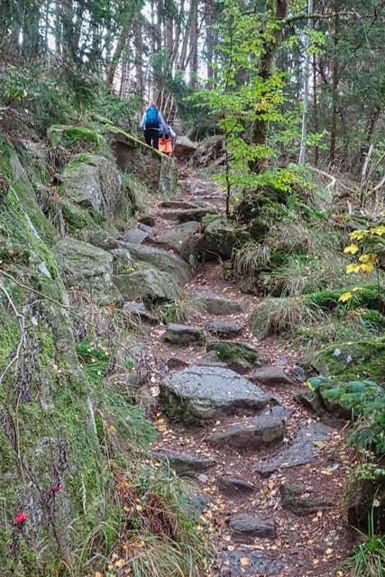 an der Steinernen Renne