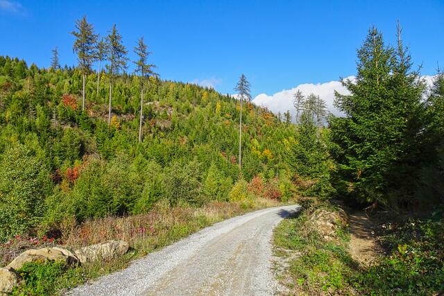 Thumkuhlental