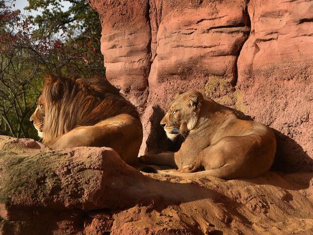 Gemeinsam chillen ...