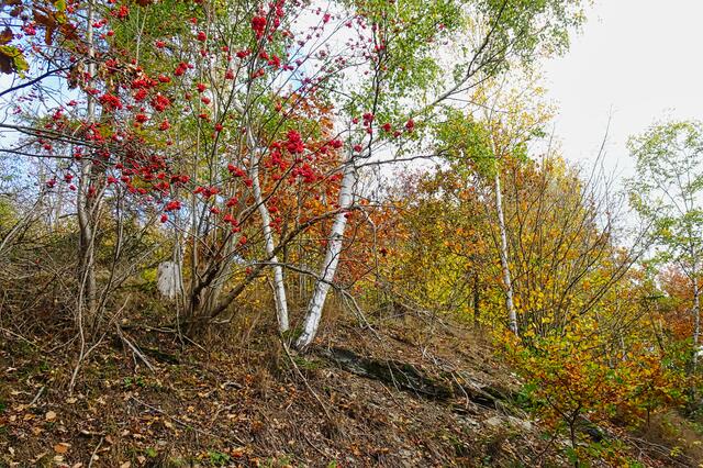 Berghang am Selketal Stieg