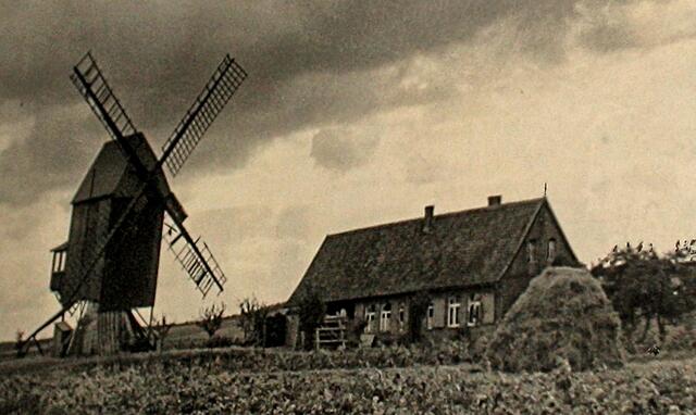 die Mühle 1952 auf dem Nordberg