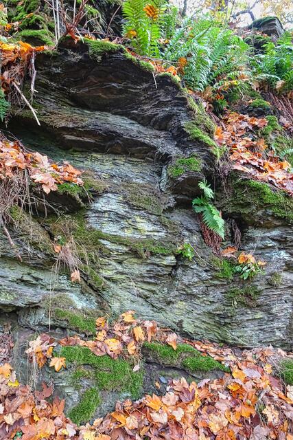 Schiefergestein am Selketal - Stieg
