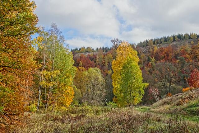 im Selketal zwischen Straßberg und Silberhütte