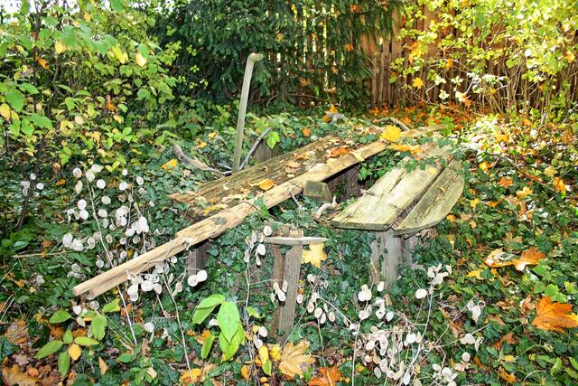 Treffen der „Mühlen um die Ecke“ an der Bockwindmühle Wettmar Burgwedel