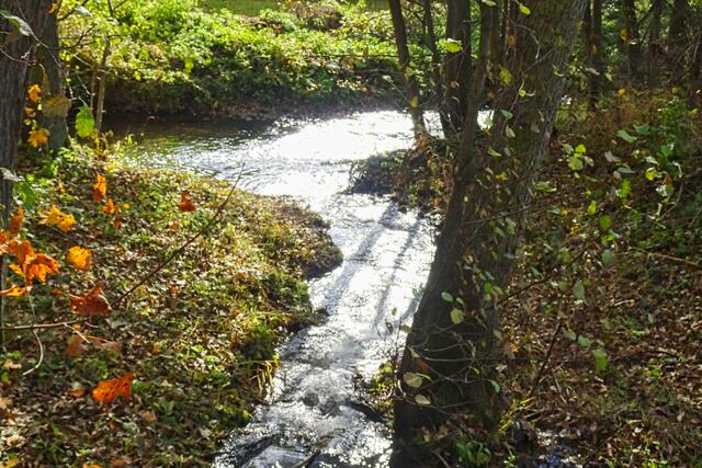 Einmündung des Uhlenbachs in  Selke