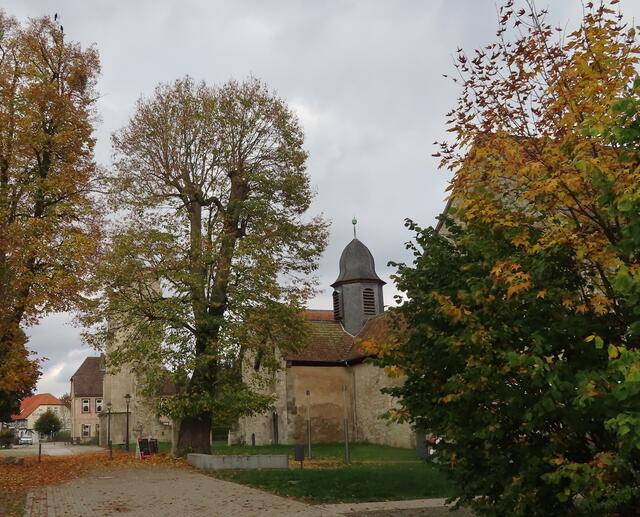 Rechts hinter dem Gebüsch geht es zum Eingangsbereich des Klosters, wo man den Eintritt (mit oder ohne Führung) bezahlt und wo man verschiedene Andenken (Ansichtskarten, Liköre, Bücher über das Kloster usw.) kaufen kann.